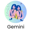Gemini
